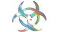 naklejka zagrozenie biologiczne biohazard holograficzna.jpg