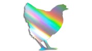 naklejka kura holograficzna.jpg