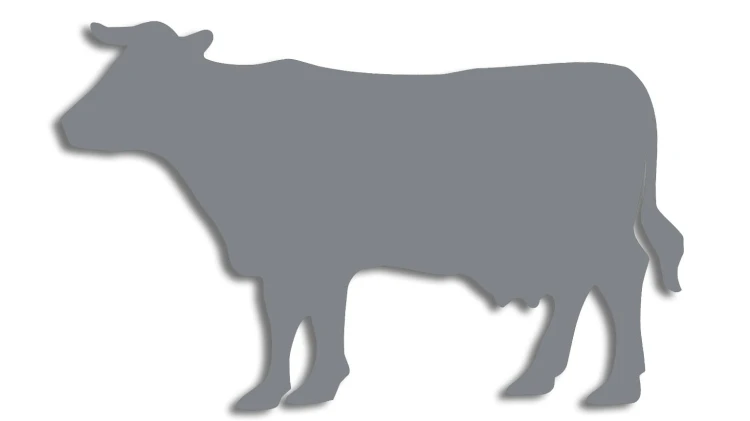 naklejka-krowa-byk-szara.jpg