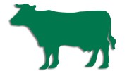 naklejka-krowa-byk-zielona.jpg