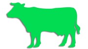 naklejka-krowa-byk-zielona-neon.jpg