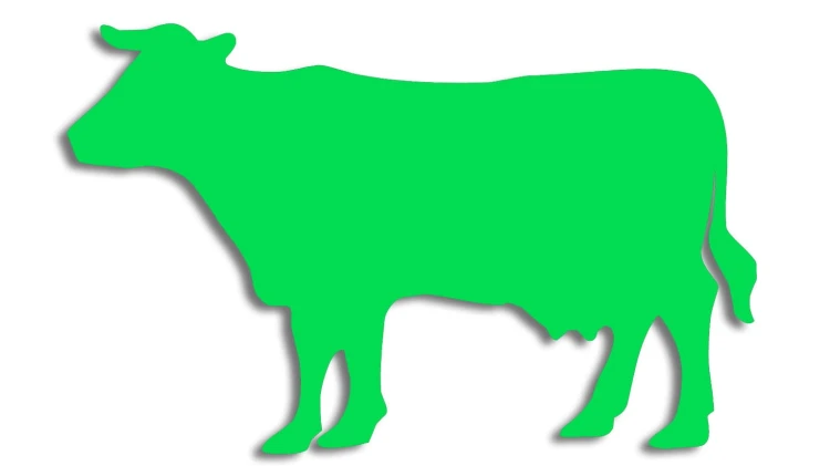 naklejka-krowa-byk-zielona-neon.jpg
