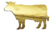 naklejka-krowa-byk-zloty-chrom.jpg