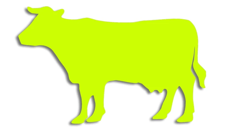 naklejka-krowa-byk-zolta-neon.jpg