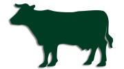 naklejka-krowa-byk-ciemny-zielony.jpg