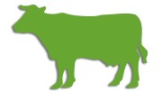 naklejka-krowa-byk-jasny-zielony.jpg