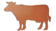 naklejka-krowa-byk-miedziana.jpg