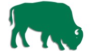 naklejka-zubr-byk-zielona.jpg