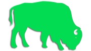 naklejka-zubr-byk-zielona-neon.jpg