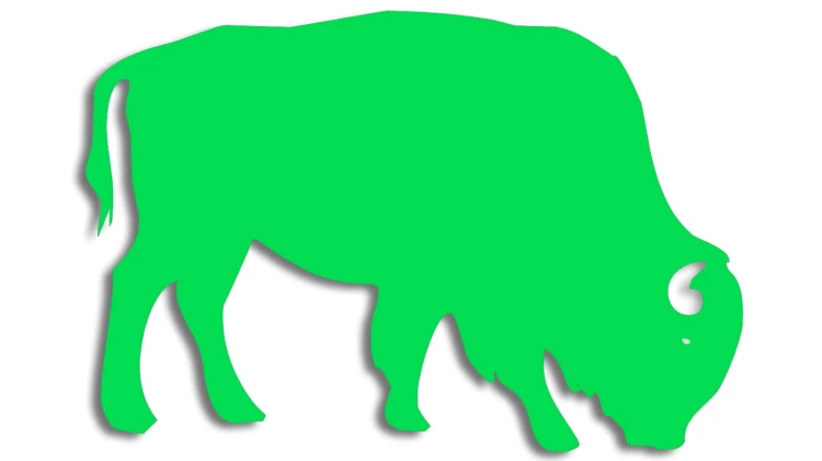 naklejka-zubr-byk-zielona-neon.jpg