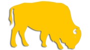 naklejka-zubr-byk-zolta.jpg