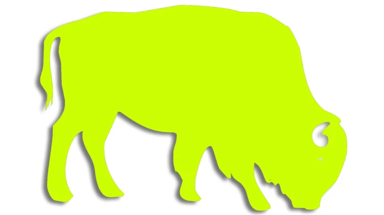 naklejka-zubr-byk-zolta-neon.jpg