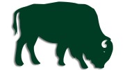 naklejka-zubr-byk-ciemny-zielony.jpg