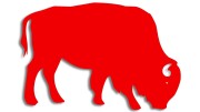 naklejka-zubr-byk-czewrona-neon.jpg