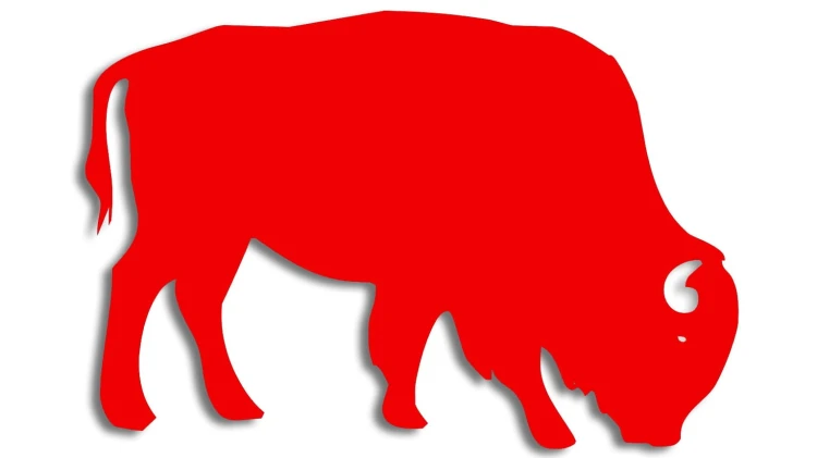 naklejka-zubr-byk-czewrona-neon.jpg