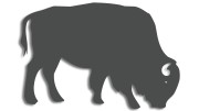 naklejka-zubr-byk-grafitowa.jpg