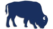 naklejka-zubr-byk-granatowa.jpg