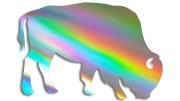 naklejka-zubr-byk-holograficzna.jpg