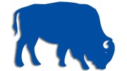 naklejka-zubr-byk-niebieska.jpg