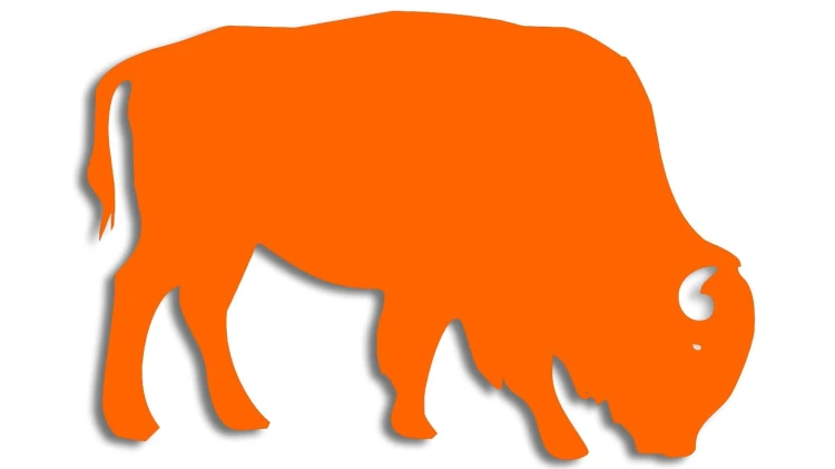 naklejka-zubr-byk-pomaranczowa-neon.jpg