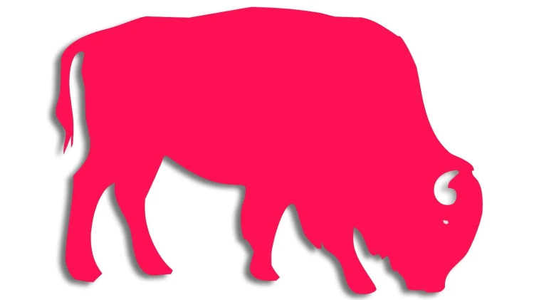 naklejka-zubr-byk-rozowa-neon.jpg