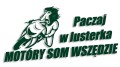 naklejka paczaj w lusterka ciemny zielony.jpg