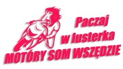 naklejka paczaj w lusterka rozowa neon.jpg
