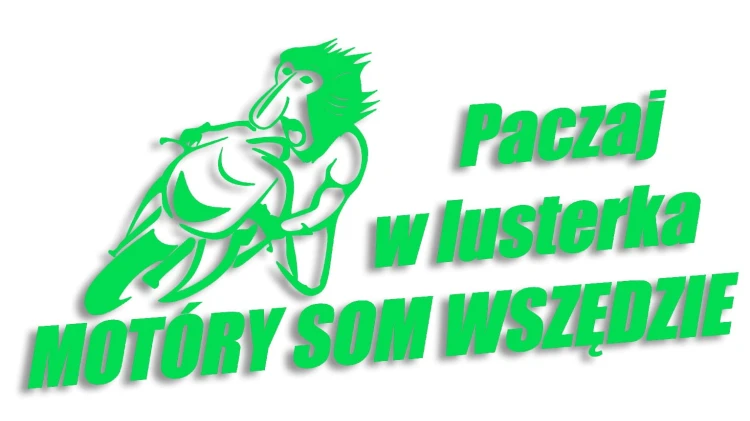 naklejka paczaj w lusterka zielona neon.jpg