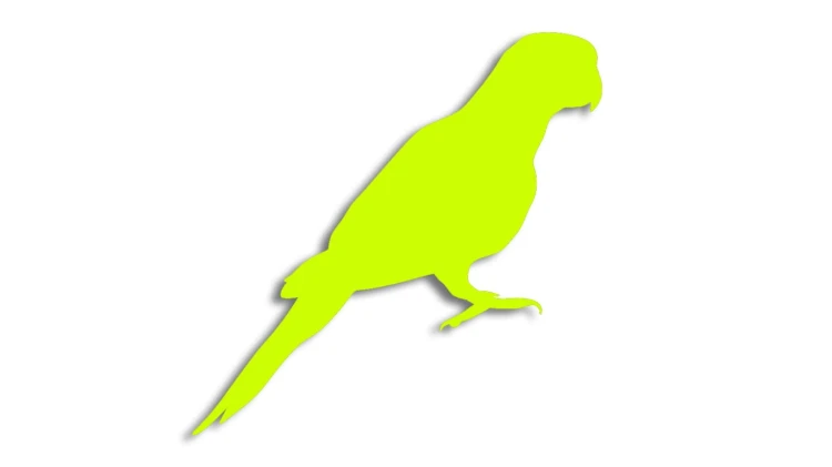 naklejka-papuga-1-zolta-neon.jpg