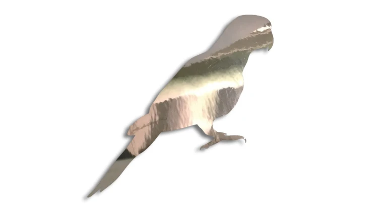 naklejka-papuga-1-chrom.jpg