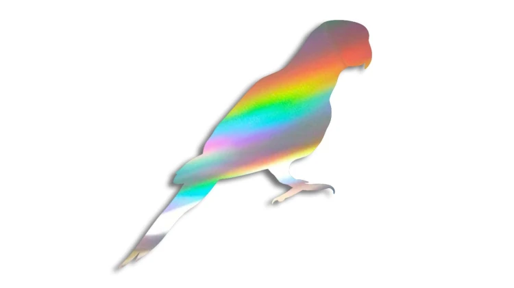 naklejka-papuga-1-holograficzna.jpg