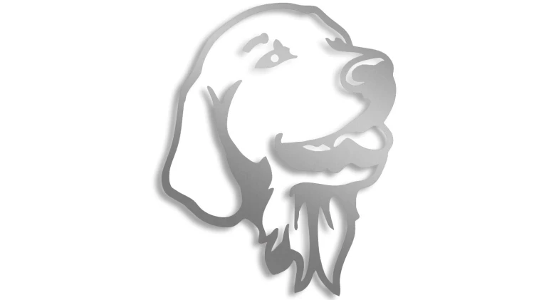naklejka-labrador-golden-retriever-pies-srebrna.jpg