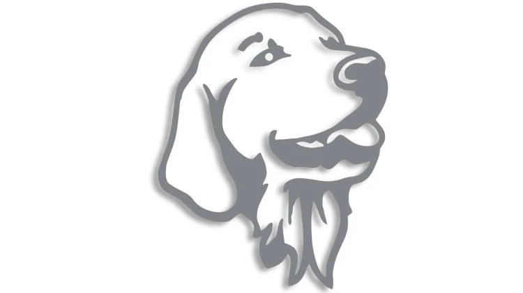 naklejka-labrador-golden-retriever-pies-szara.jpg