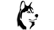 naklejka-husky-pies.jpg