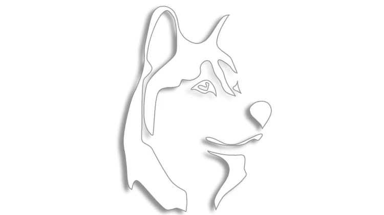 naklejka-husky-pies-biala.jpg