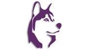 naklejka-husky-pies-fioletowa.jpg