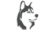 naklejka-husky-pies-grafitowa.jpg