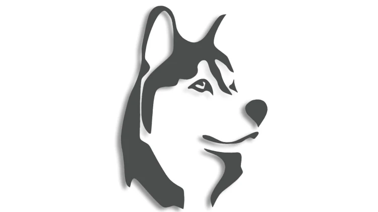naklejka-husky-pies-grafitowa.jpg
