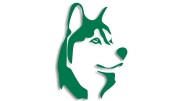 naklejka-husky-pies-zielona.jpg