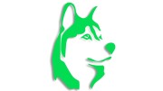 naklejka-husky-pies-zielona-neon.jpg