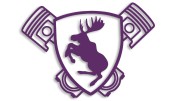 naklejka-los-volvo-saab-fioletowa.jpg