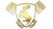 naklejka-los-volvo-saab-zloty-chrom.jpg