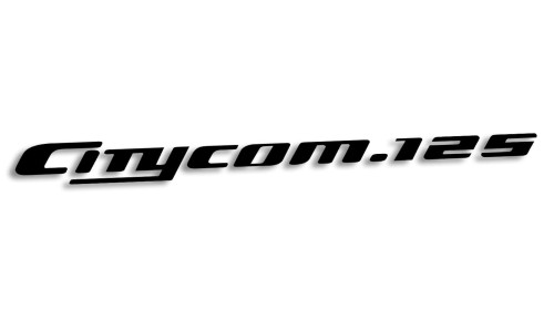 naklejka-sym-citycom125.jpg