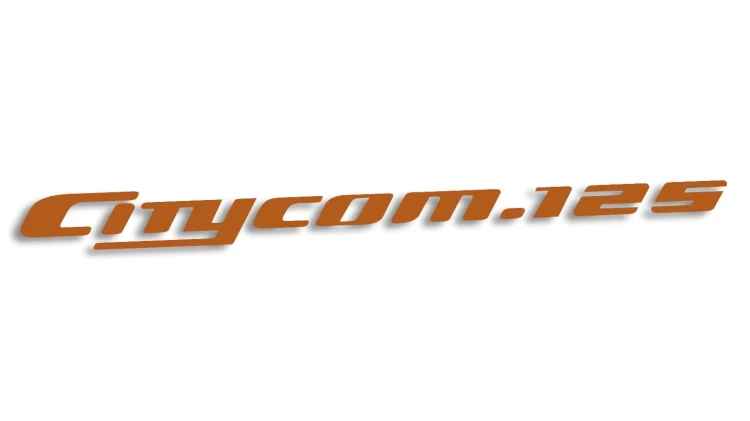 naklejka-sym-citycom125-brazowa.jpg