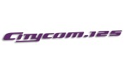 naklejka-sym-citycom125-fioletowa.jpg