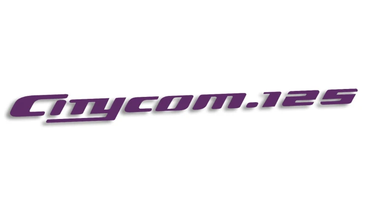 naklejka-sym-citycom125-fioletowa.jpg