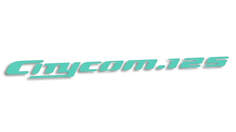 naklejka-sym-citycom125-metowa.jpg
