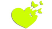 naklejka-serce-motyl-motyle-zolta-neon.jpg