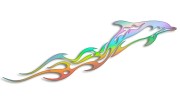 naklejka-delfin-holograficzna.jpg
