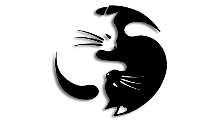 naklejka-Koty-yin-yang-rownowaga-kot.jpg
